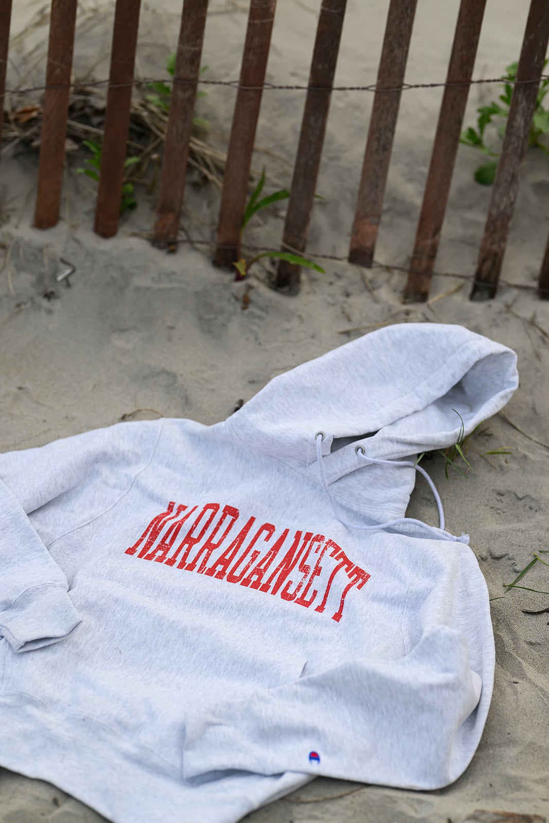 Narragansett Reverse Weave Hoodie