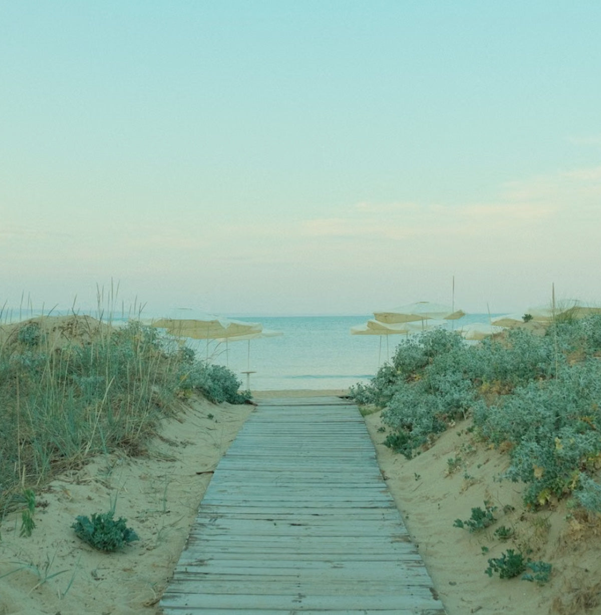 Wooden boardwalk path leading through sand dunes to the ocean
